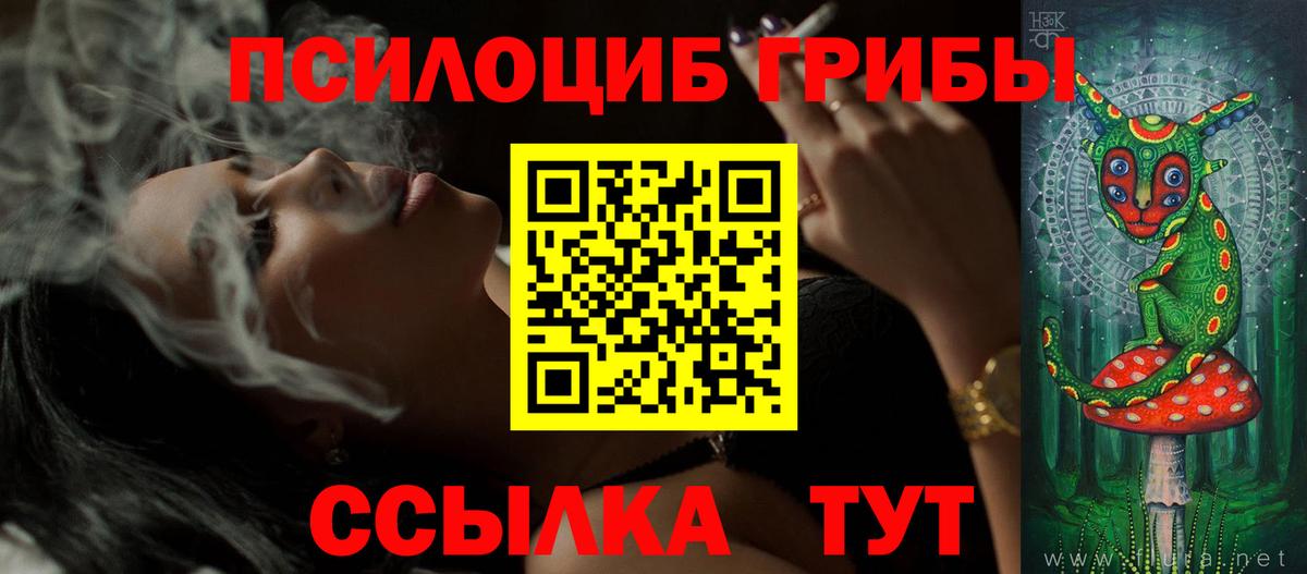 Протвино  Псилоцибиновые грибы мицелий  Псилоцибиновые грибы Psilocybe  Вход с VPN 
